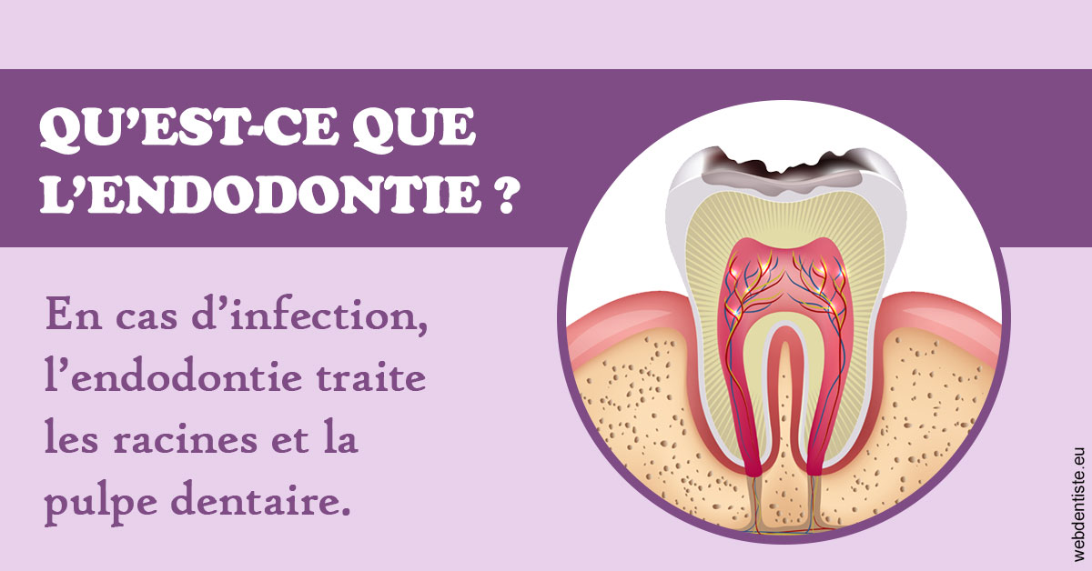 https://www.dr-madi.fr/2024 T1 - Endodontie 02