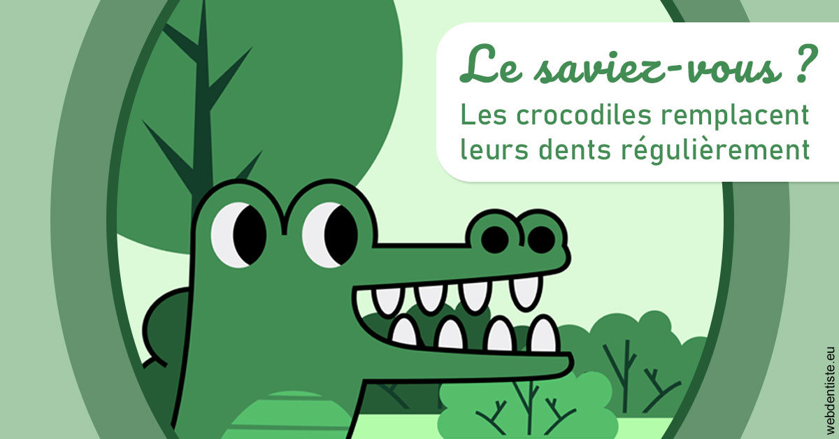https://www.dr-madi.fr/Crocodiles 2