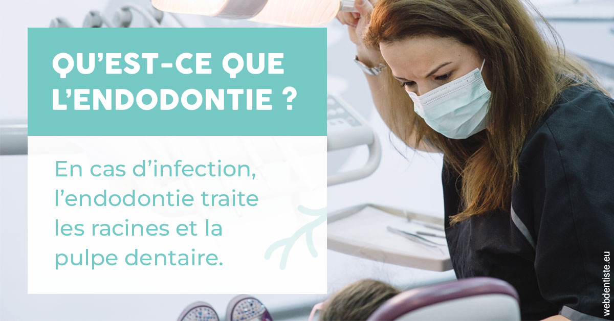 https://www.dr-madi.fr/2024 T1 - Endodontie 01