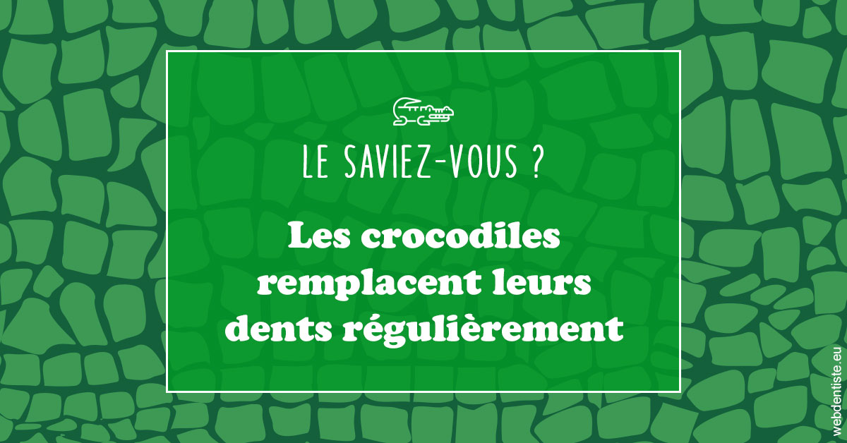 https://www.dr-madi.fr/Crocodiles 1