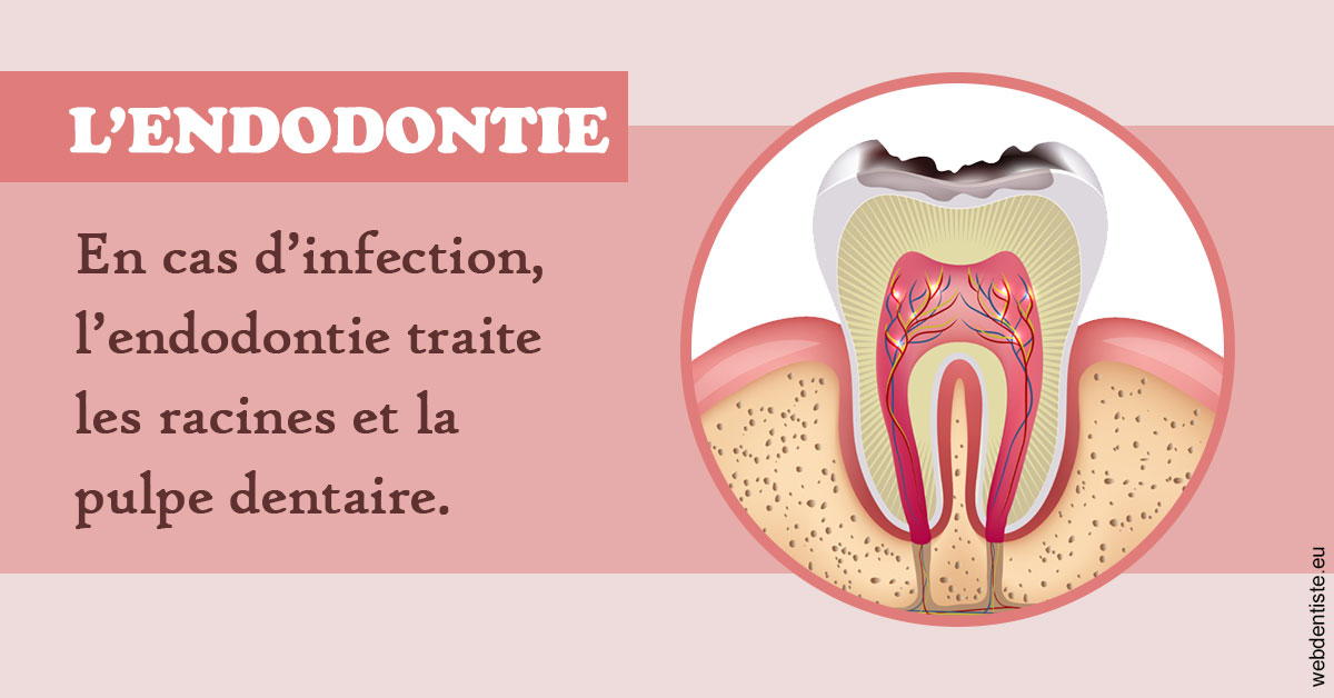 https://www.dr-madi.fr/L'endodontie 2